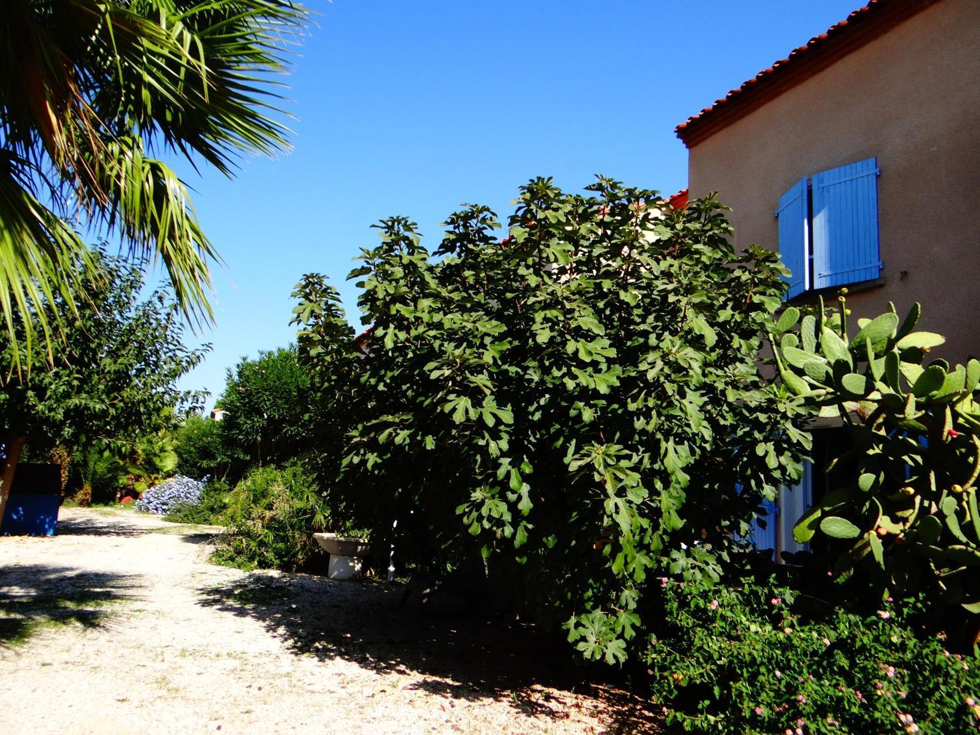 Residence L'Orangeraie-2-Claira 66530 Exterior foto